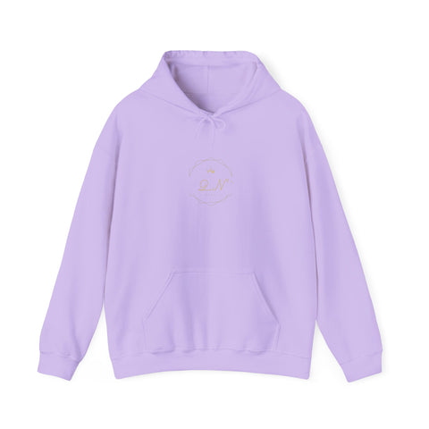 Qn beauty's Heavy Blend™ Hooded Sweatshirt - QN beauty 