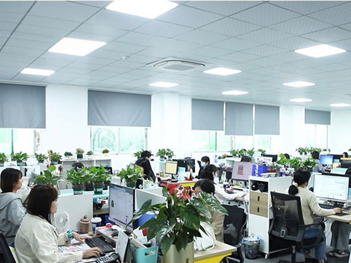 Our Values in Action